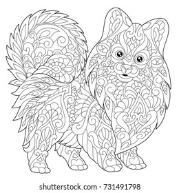 Pomeranian colouring page images stock photos d objects vectors