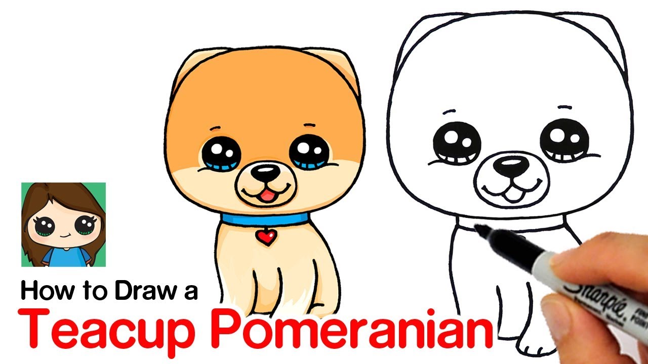 How to draw a poeranian boo worlds cutest dog