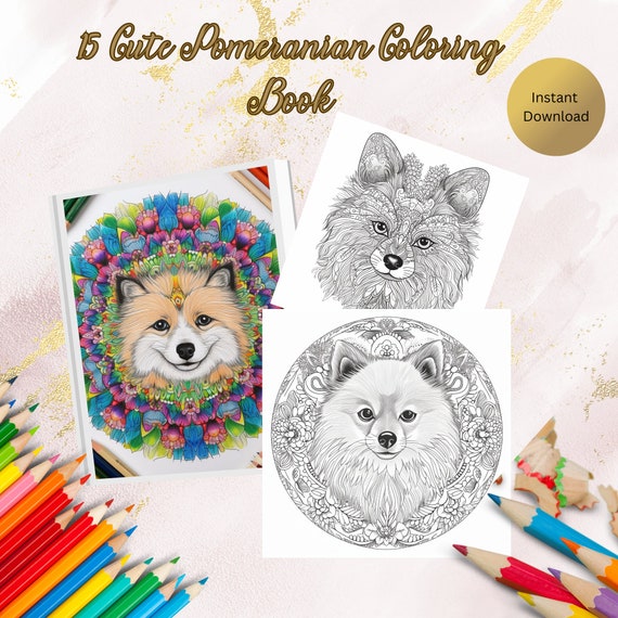 Pomeranian cute coloring pages for kids and adults printable pages instant download for dog puppy lovers digital download