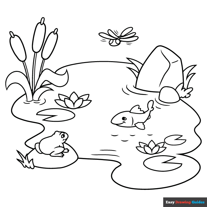 Pond coloring page easy drawing guides