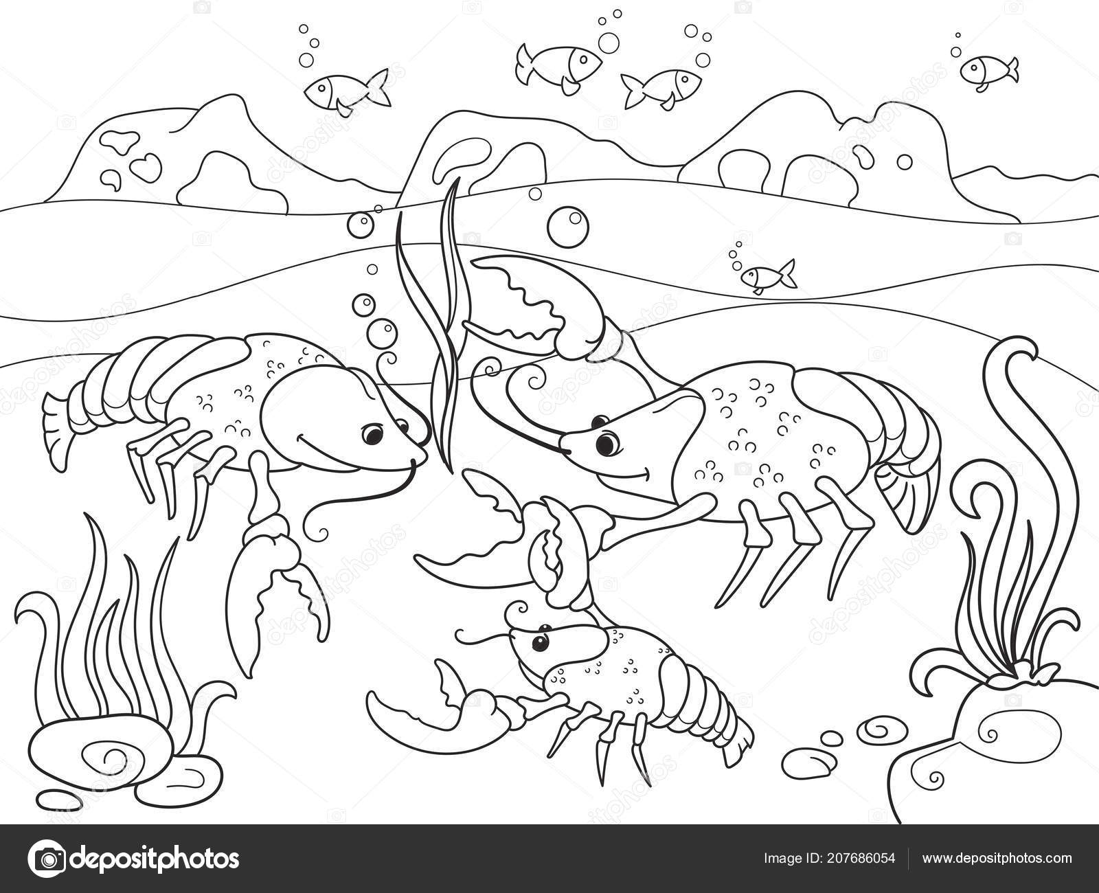 Childrens cartoon family of crayfish on the bottom of the pond raster illustration of a coloring book stock illustration by toricheksgmail