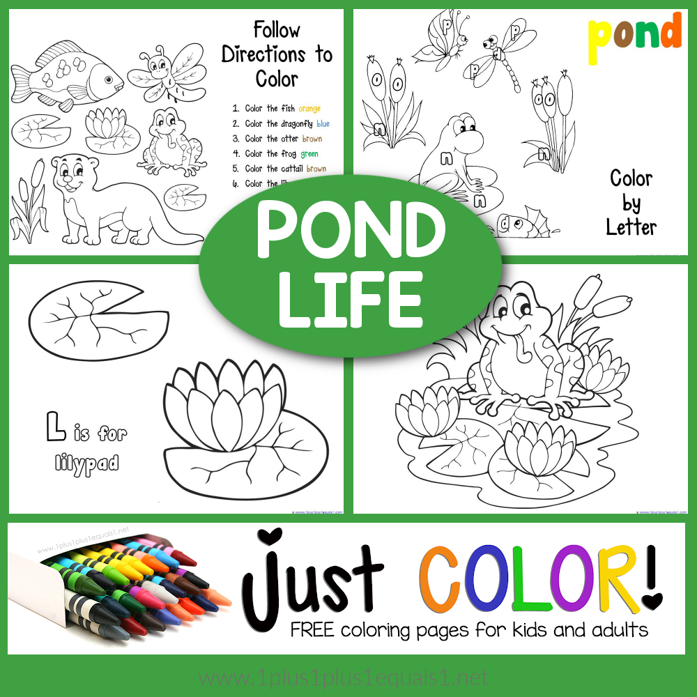 Pond coloring printables