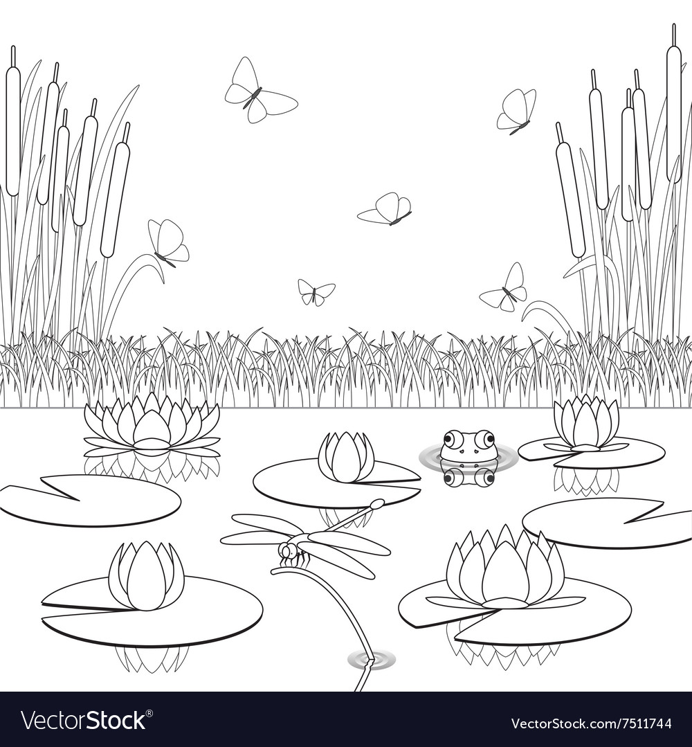 Coloring page with pond inhabitants and plants vector image