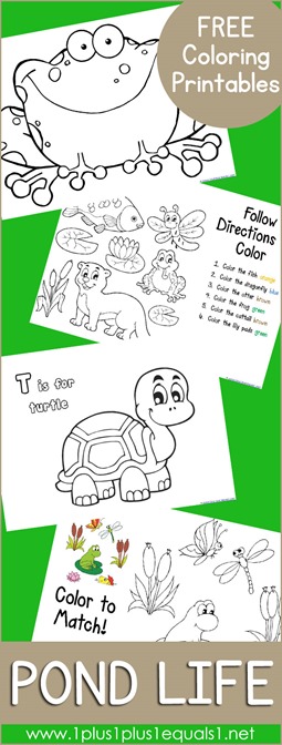 Pond coloring printables