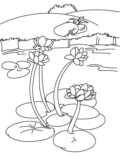 Coloring pages lily flower pond coloring pages for kids