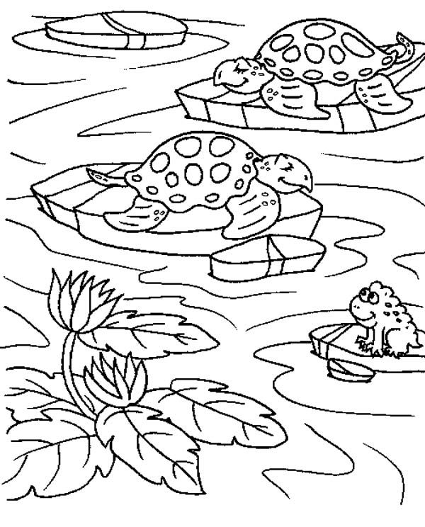 Free pond coloring pages