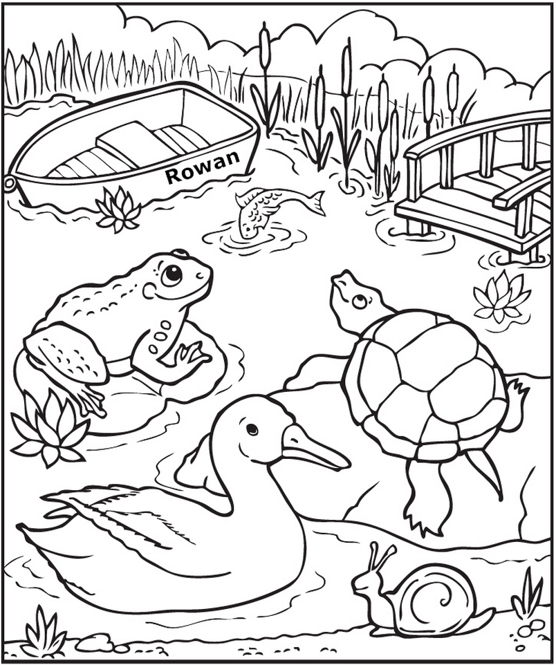 Animal coloring pages pond animals coloring pages