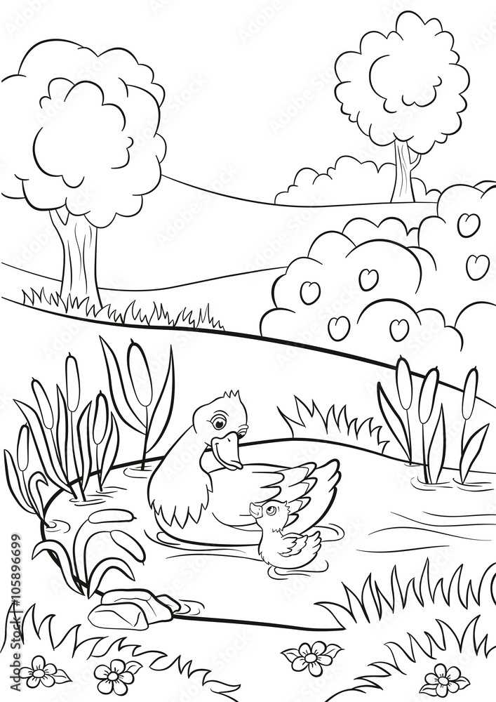 Coloring pages kind duck and little cute duckling swim on the pond there are trees bushes flowers and reeds around summer vector