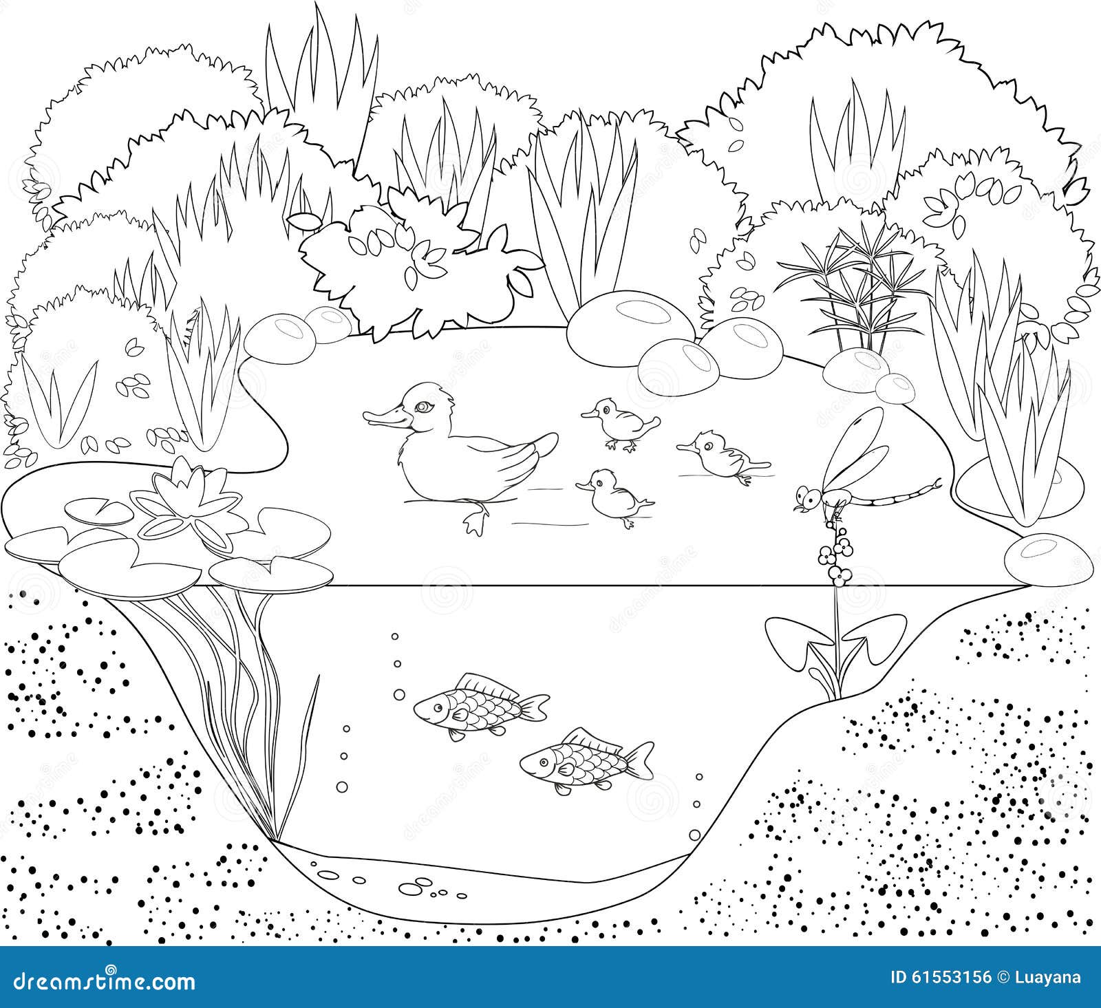 Colouring pond stock illustrations â colouring pond stock illustrations vectors clipart