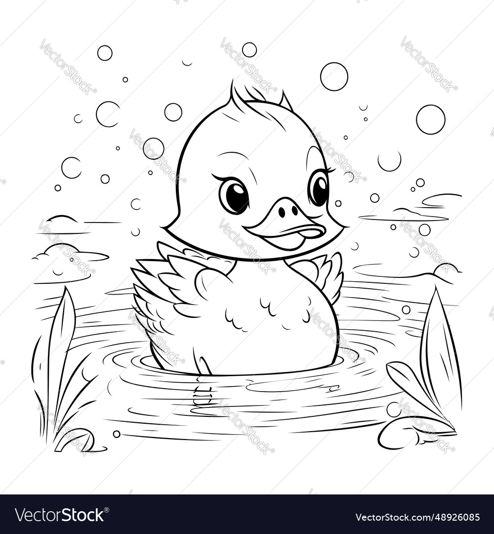 Duck swimming in the pond coloring book royalty free vector