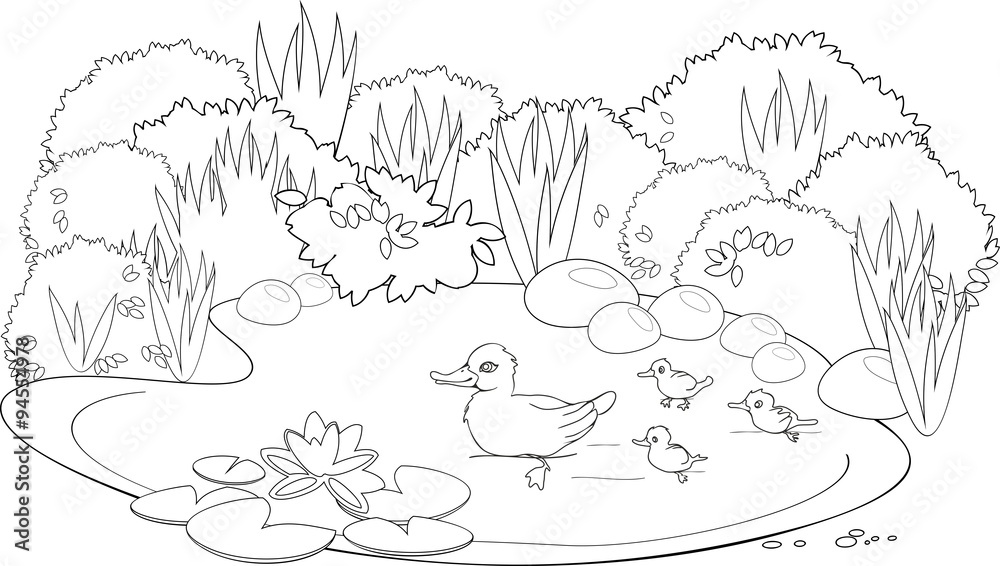 Coloring duck pond vector