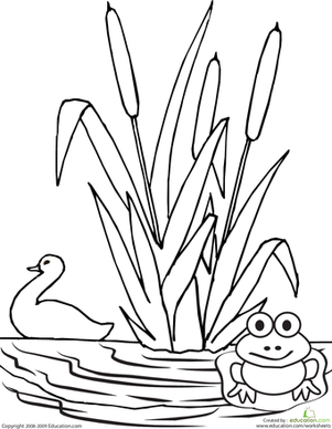 Color the pond worksheet education coloring pages bird coloring pages pond drawing