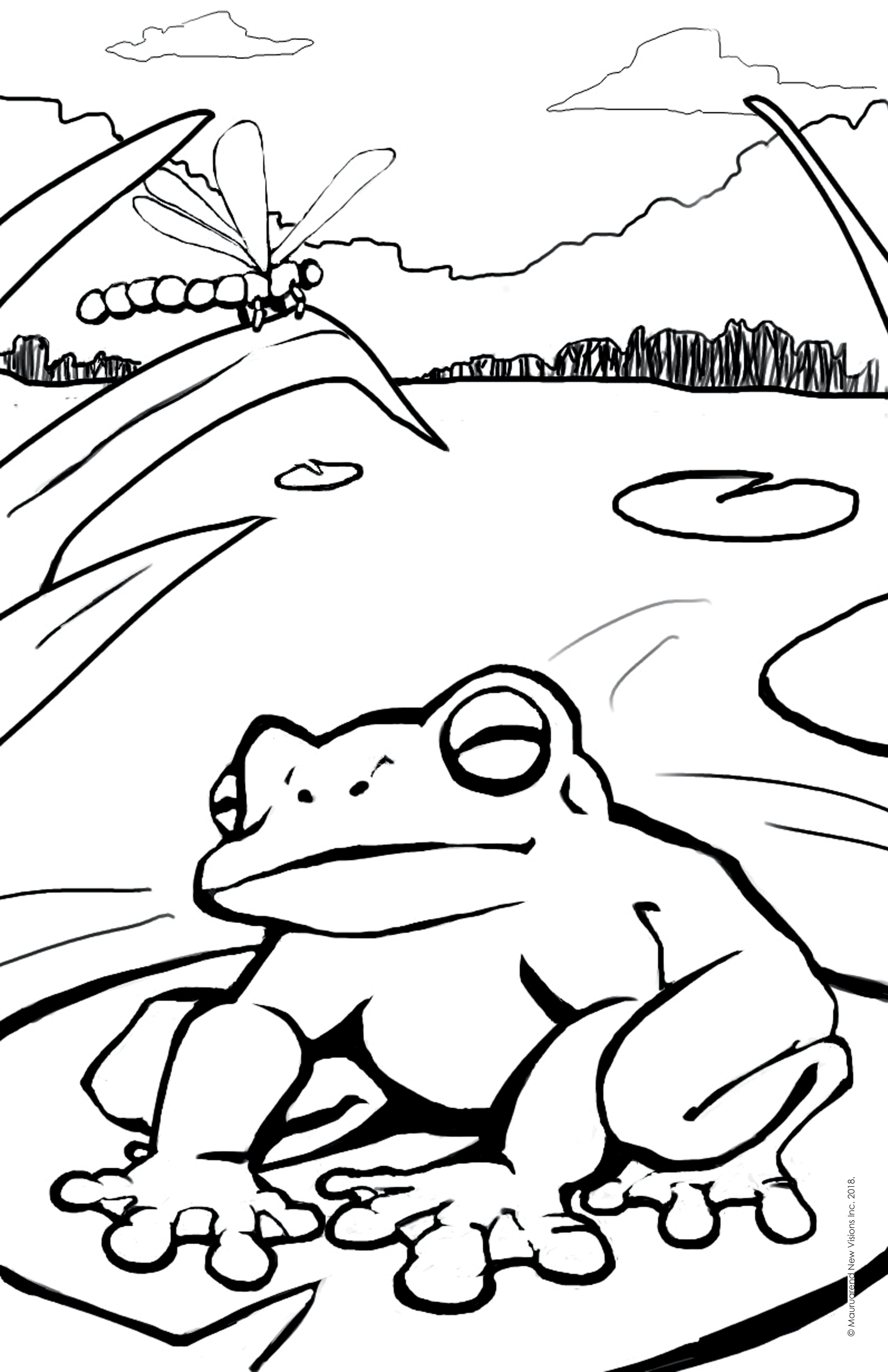 Printable coloring page frog on lillypad â vybin art