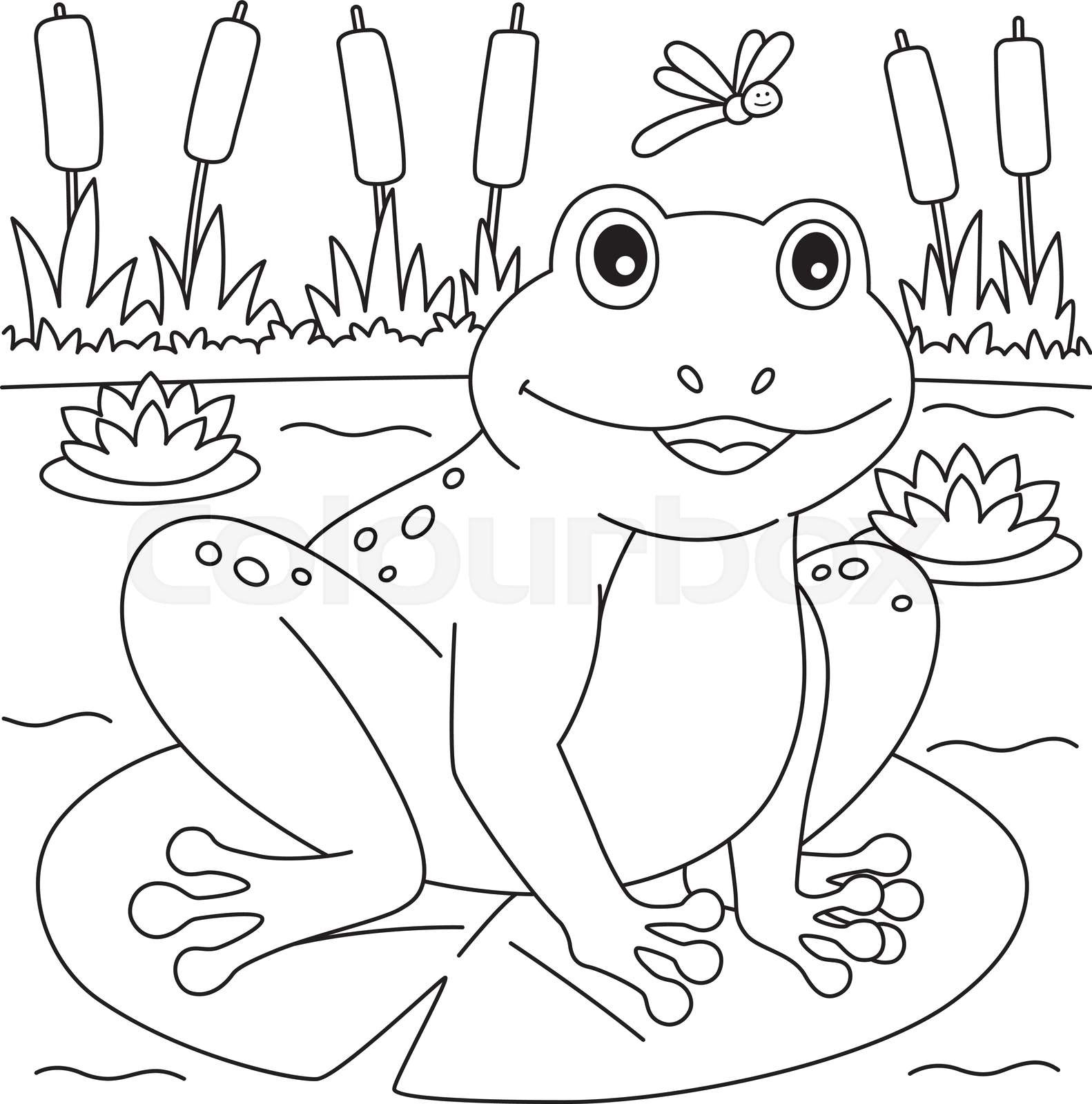 Spring frog on a water lily coloring page for kids stock vector