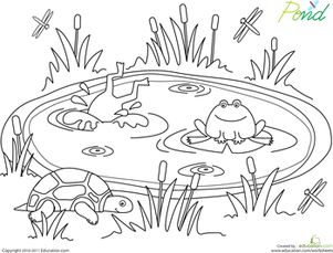 Pond life worksheet education pond animals pond life theme coloring pages