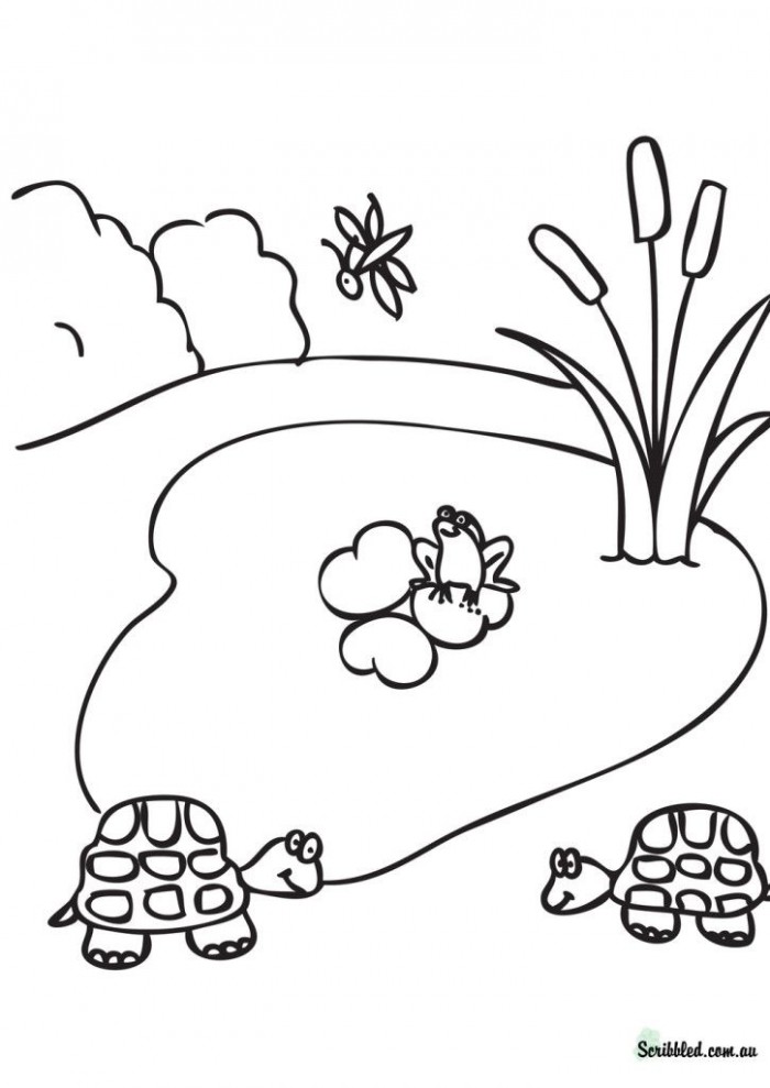 Pond life coloring page worksheets