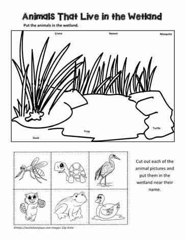 Pond animals worksheet pond animals animal worksheets animal habitats