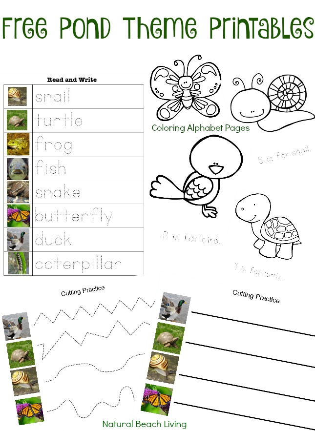 Pond theme activities stem free printables