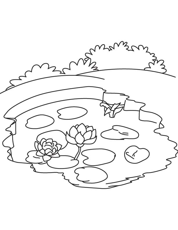 Water lily in pond coloring page download free water lily in pond coloring page for kids best coloring pages