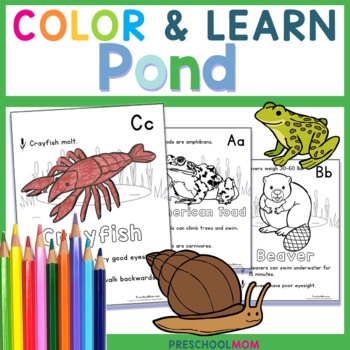 Pond life coloring and science printables by preschool mom tpt