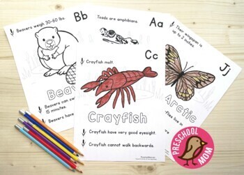 Pond life coloring and science printables by preschool mom tpt