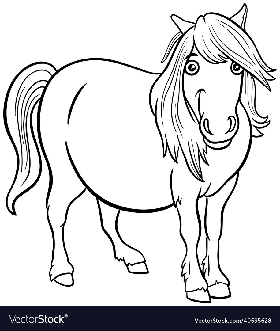 Cartoon shetland pony animal character coloring vector image