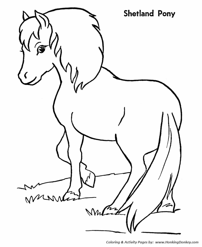 Horse coloring pages printable shetland pony coloring page