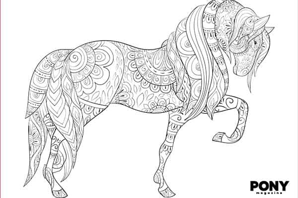 Pony colouring downloads pony magazine