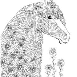 Pony colouring downloads pony magazine