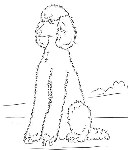 Poodle coloring page free printable coloring pages