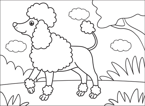 Poodle coloring page free printable coloring pages