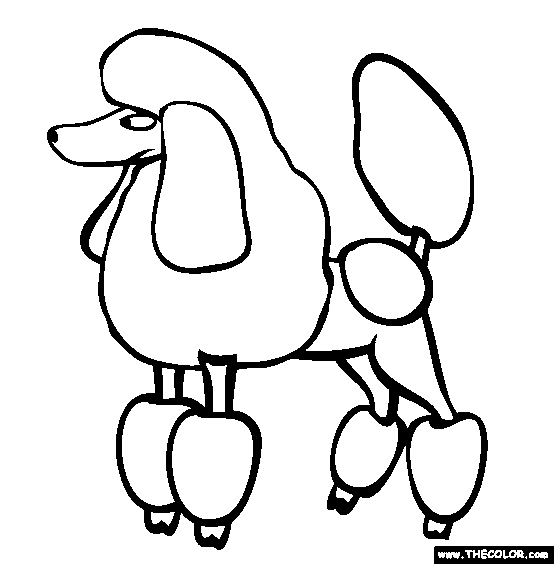 Poodle coloring page free poodle online coloring