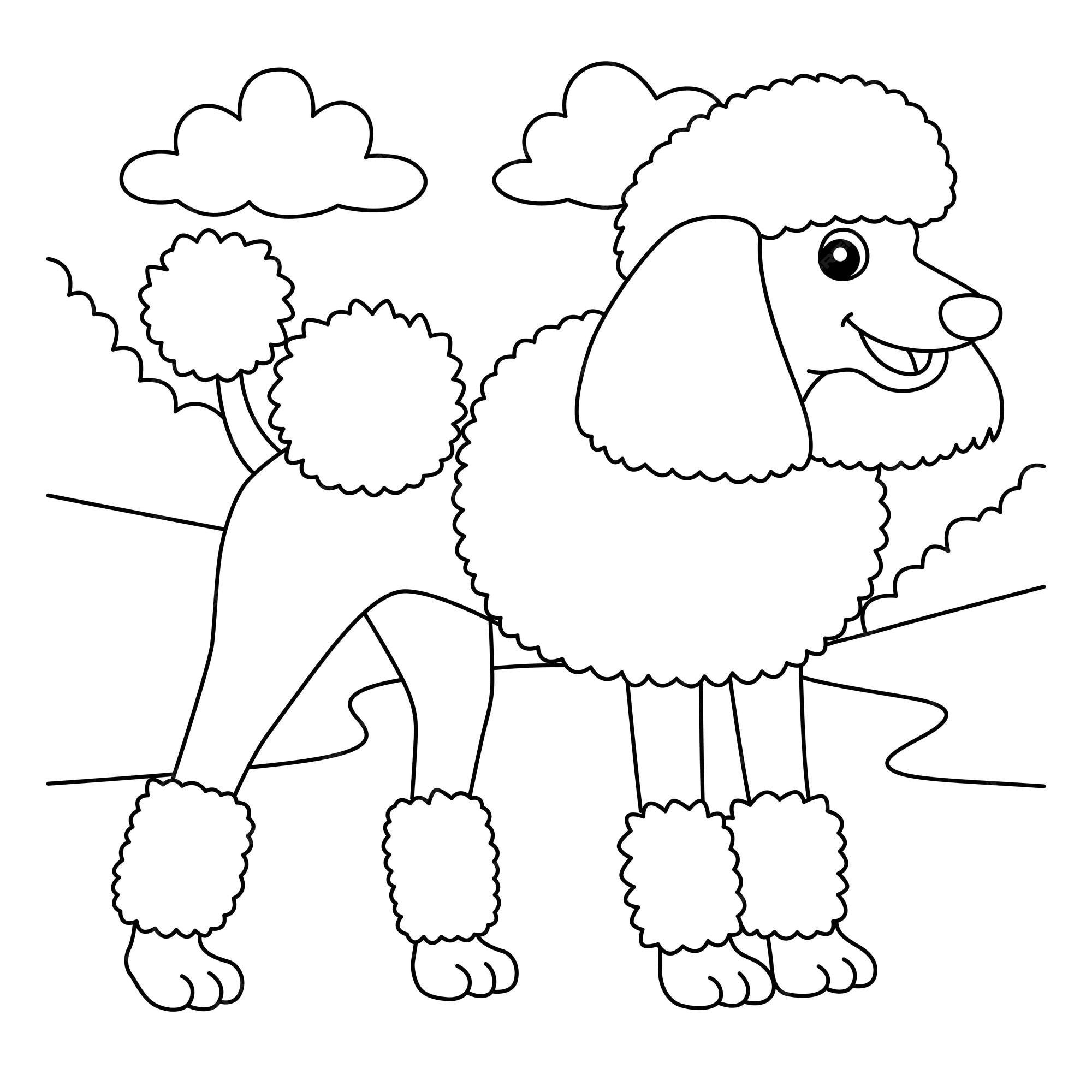 Premium vector poodle dog coloring page for kids