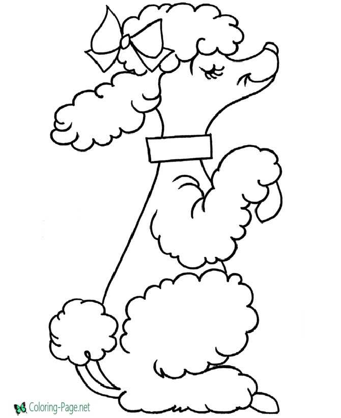 Dog coloring pages poodle