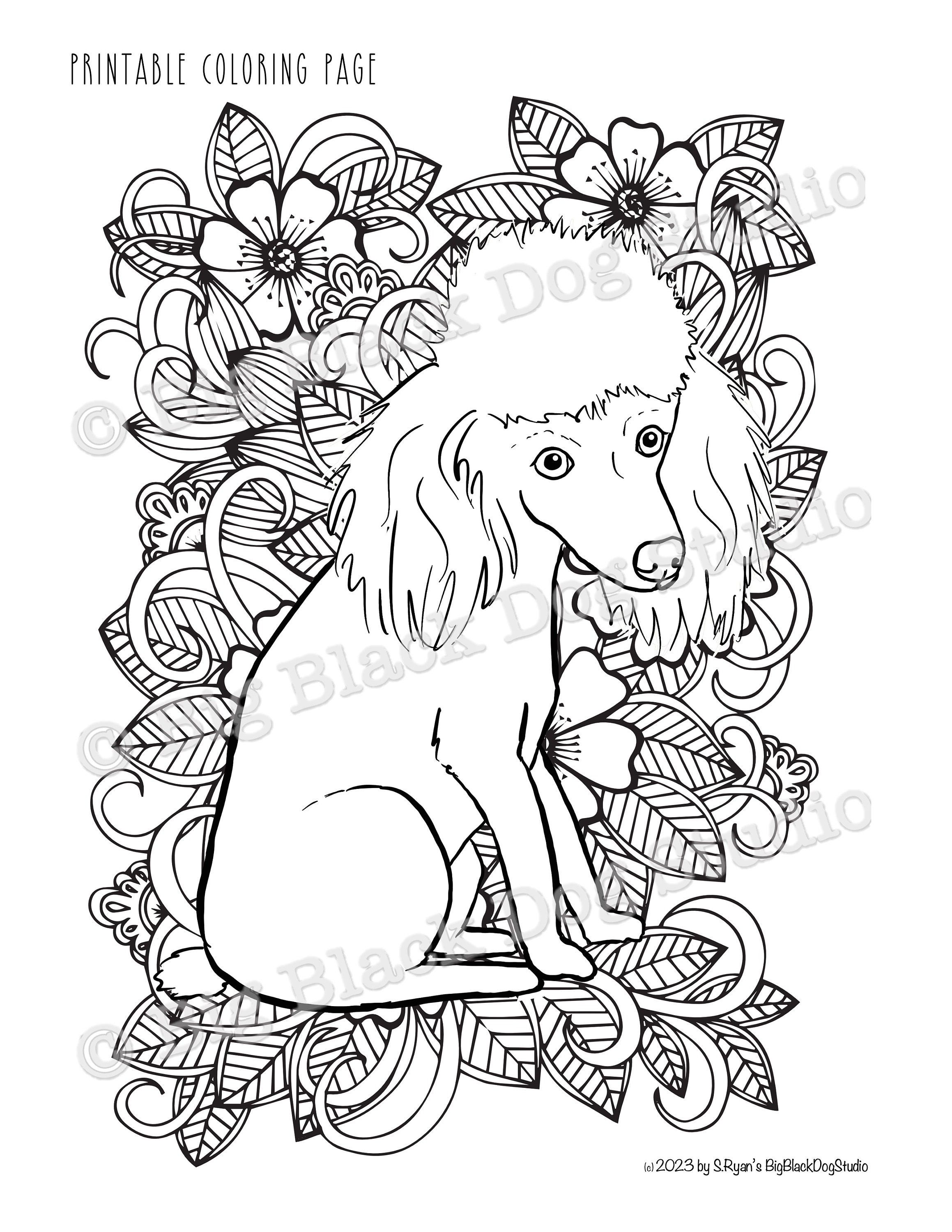 Toy poodle coloring page digital download