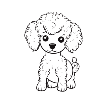 Poodle outline png transparent images free download vector files