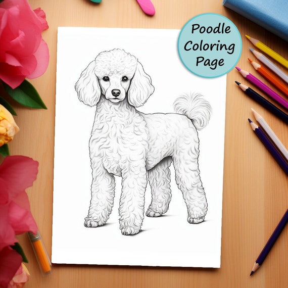 Poodle dog coloring page dog portrait printable coloring page coloring for adults and kids png instant download mercial use