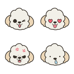 Creamy colored toy poodle emoji â emoji