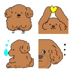 Toy poodle brown dog color â emoji