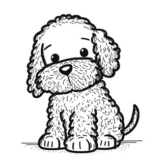 Page shih poo sketch images