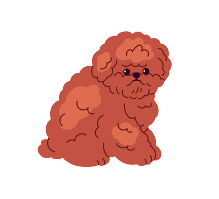 Poodle dog stock illustrations cliparts and royalty free poodle dog vectors