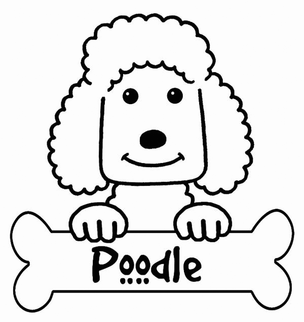 Poodle coloring pages