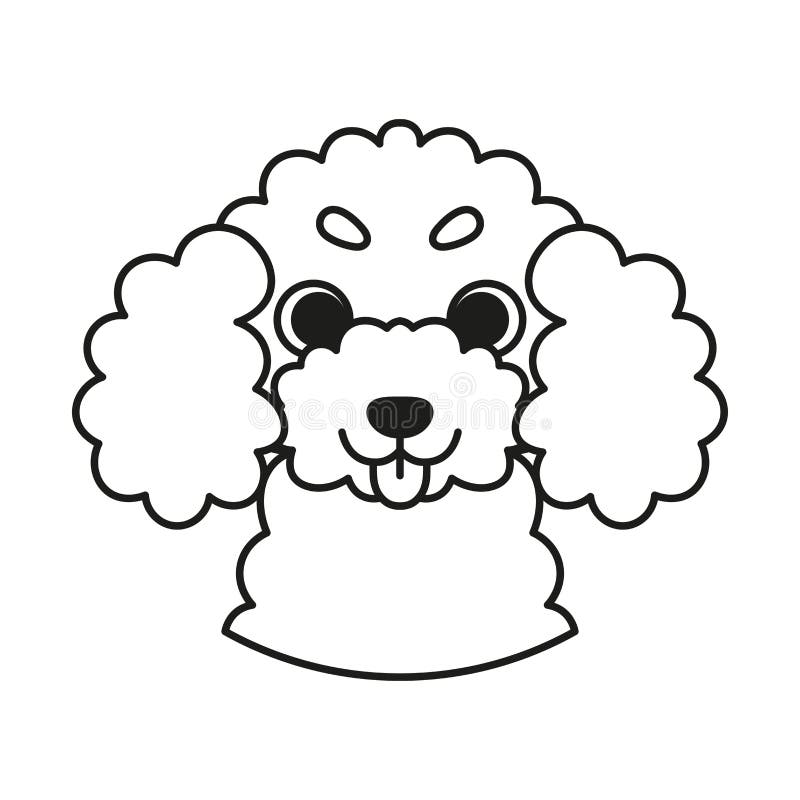 Poodle avatar stock illustrations â poodle avatar stock illustrations vectors clipart