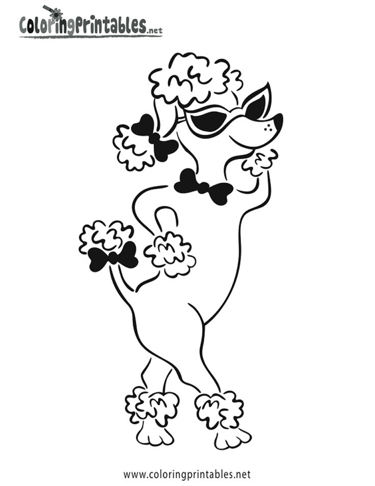 Poodle coloring page sheet poodle drawing poodle coloring pages