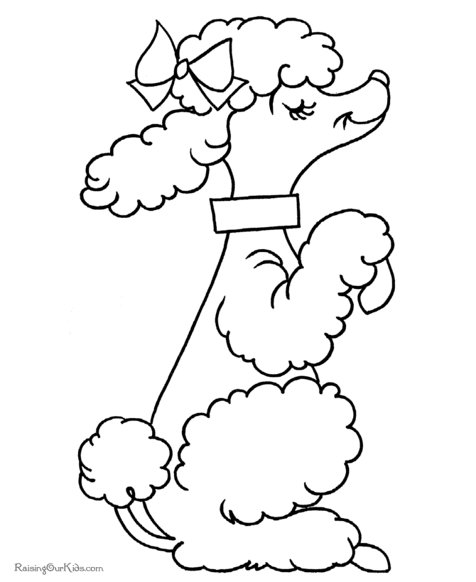 Poodle dog coloring page preschool coloring pages coloring pages