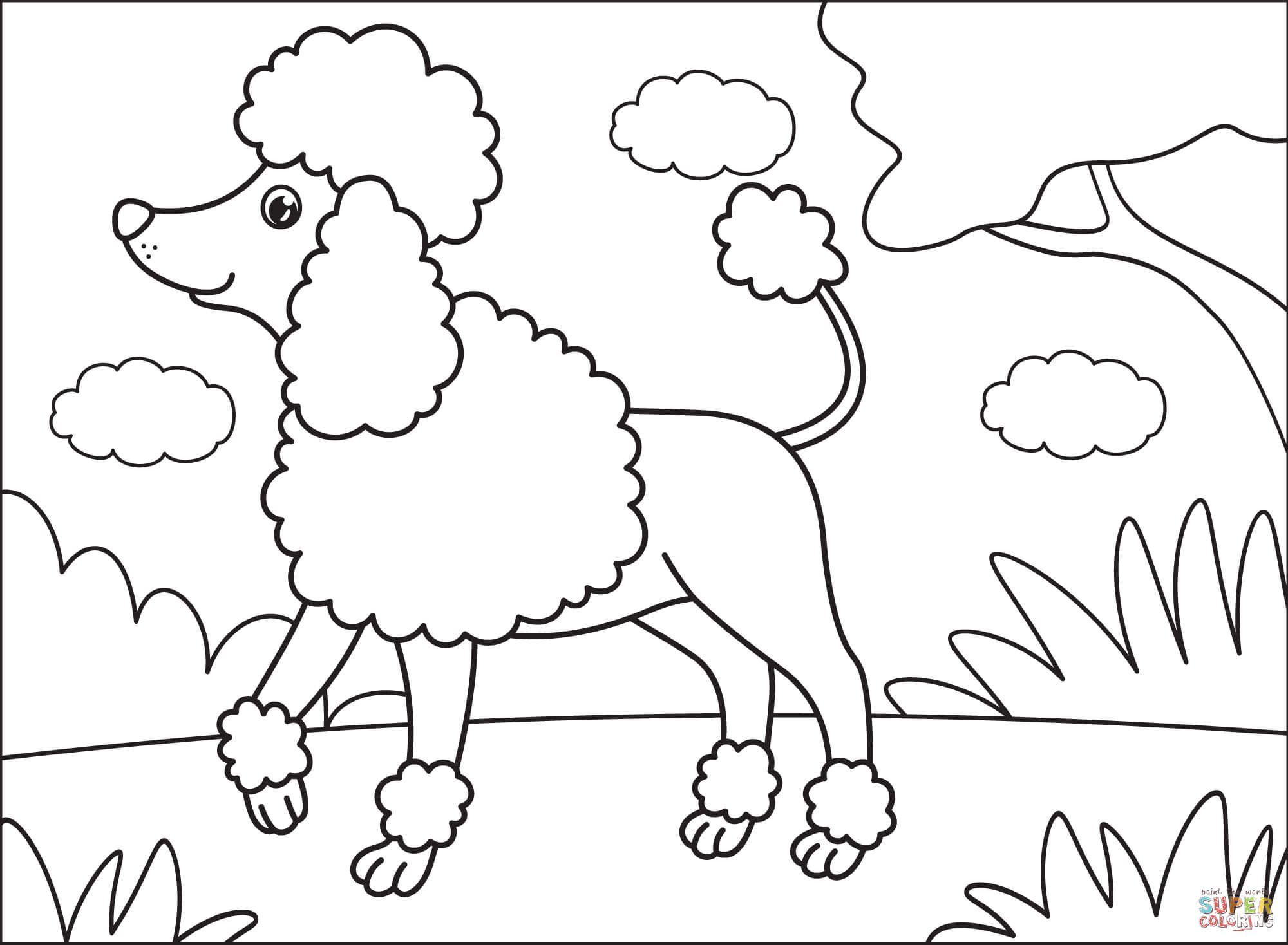 Poodle coloring page free printable coloring pages