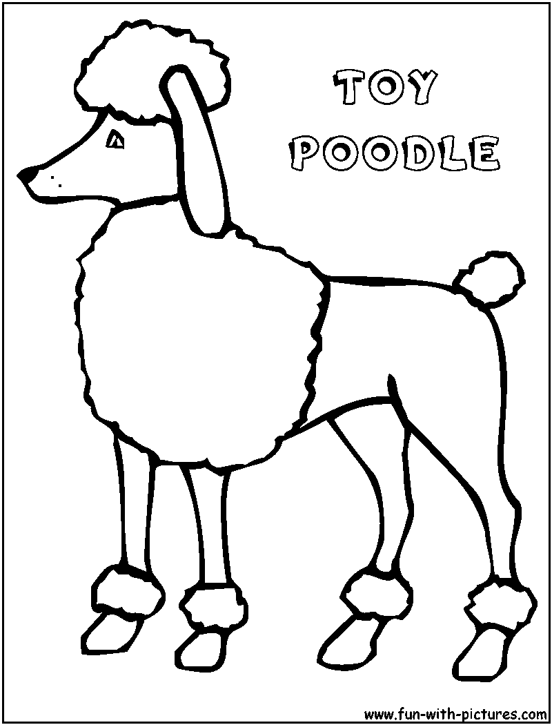 Toypoodle coloring page