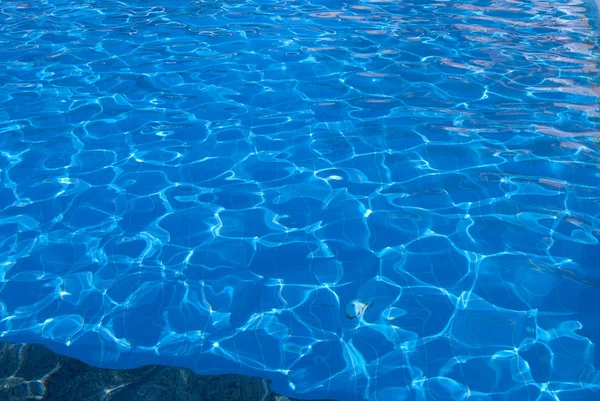 Swimming Pool Photos, Download The BEST Free Swimming Pool Stock