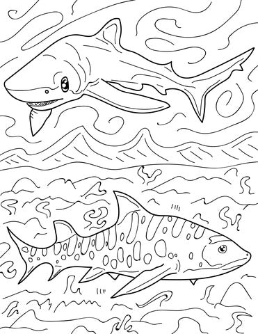 Sharks and rays wildlife educational coloring book pop