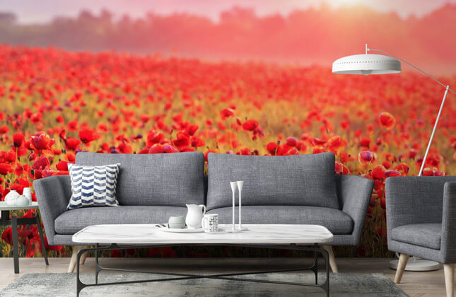 Download Free 100 + poppies wallpaper Wallpapers